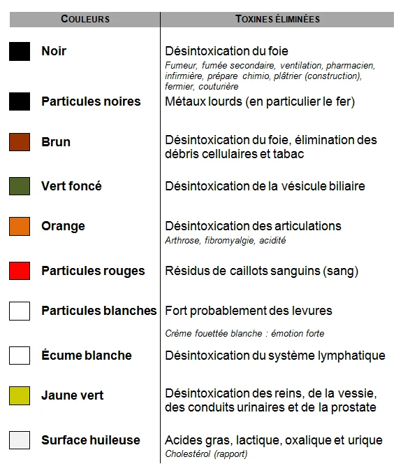 Tableau de lecture traditionnelle des couleurs du bain ionique : noir, brun, vert foncé, orange, particules rouges ou blanches, écume blanche, jaune vert, surface huileuse